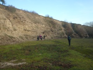 Picture of disused chalk quarry
